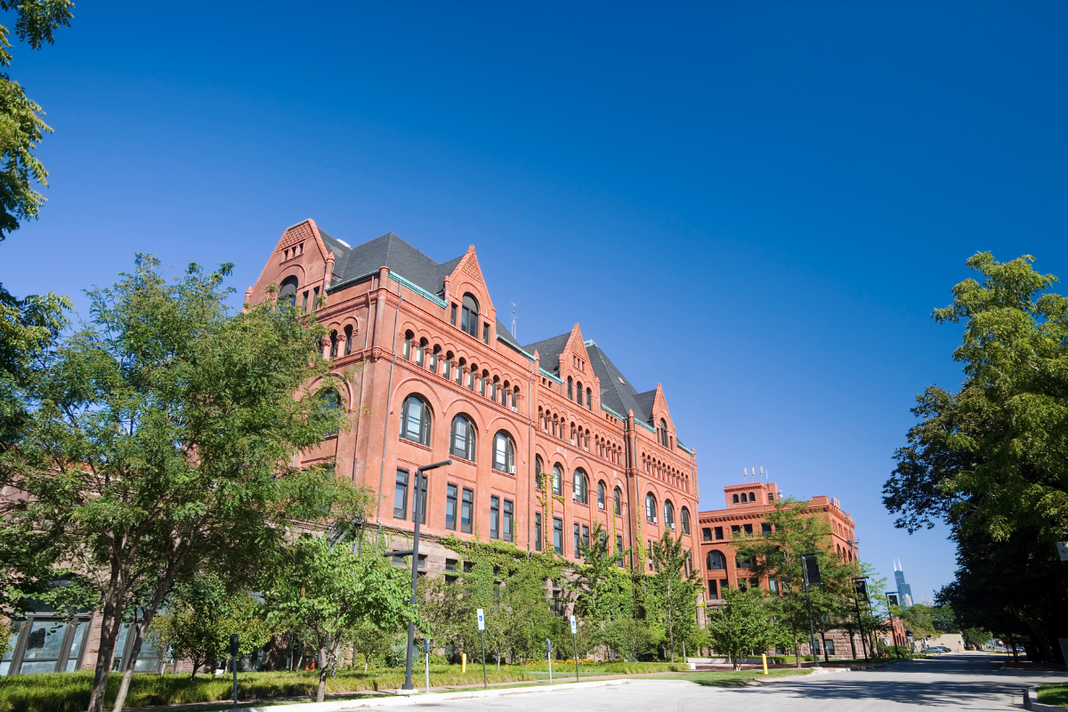 Confused About College Admissions We are Here to Guide You